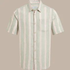 Argino Hemd mit kurzem Ärmel für Herren | Lichen Green Stripe