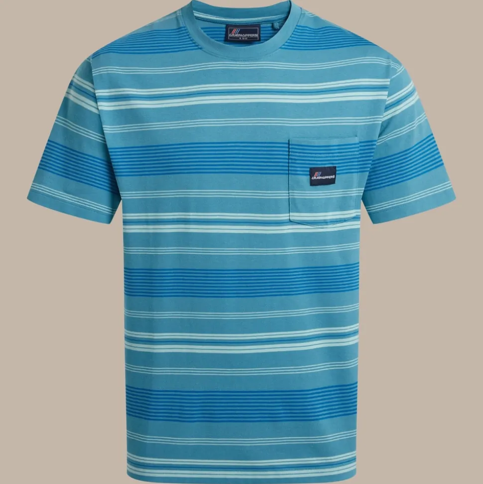 Pointer T-Shirt für Herren | Tranquil Blue Stripe